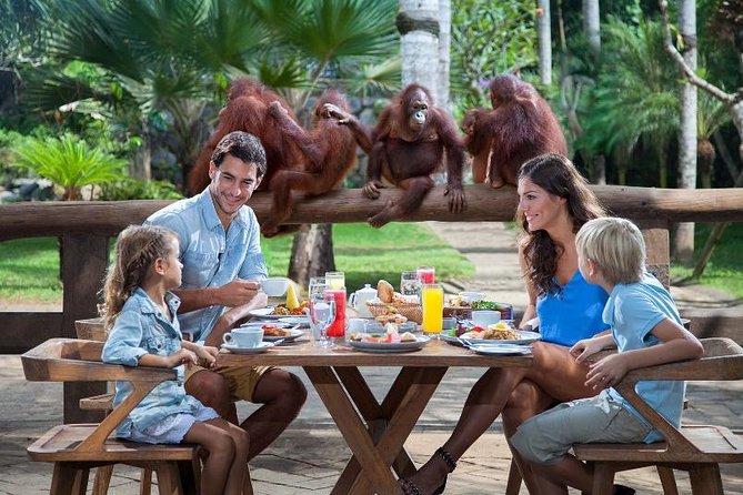 Breakfast with Orangutan